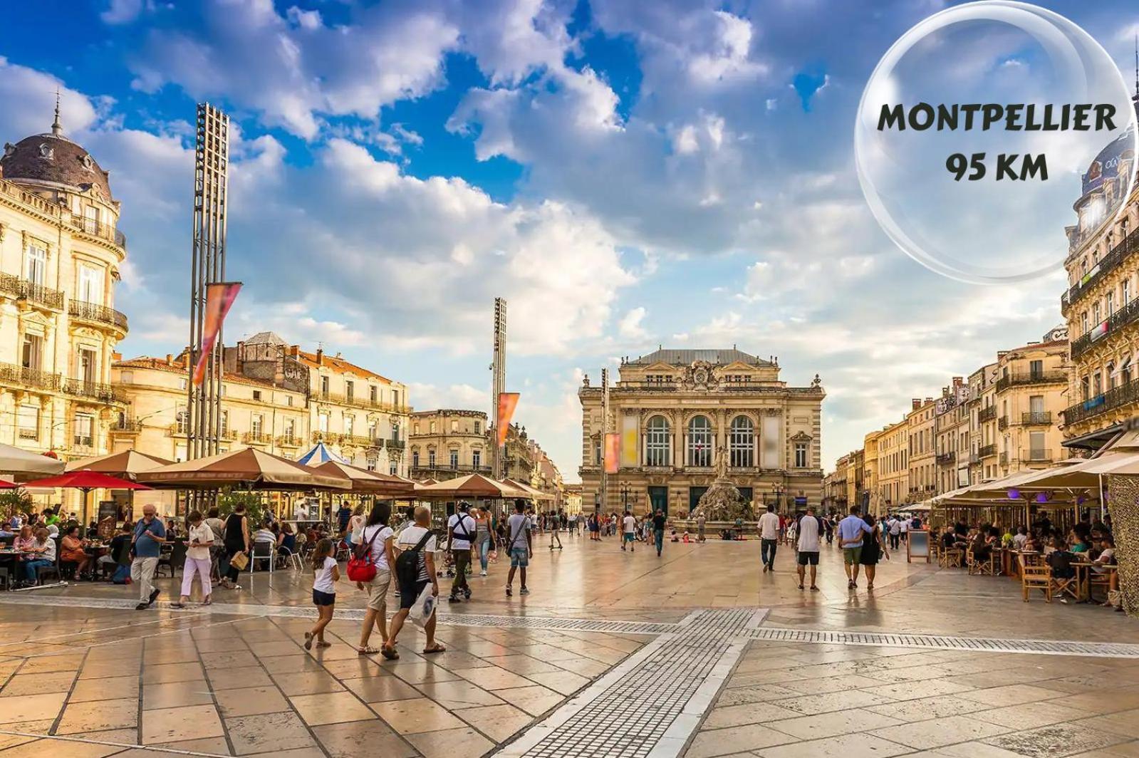 Apartamento Le Cosy Du Gal, A 2 Pas Du Palais Des Papes Parking Gratuit Securise Aviñón Exterior foto
