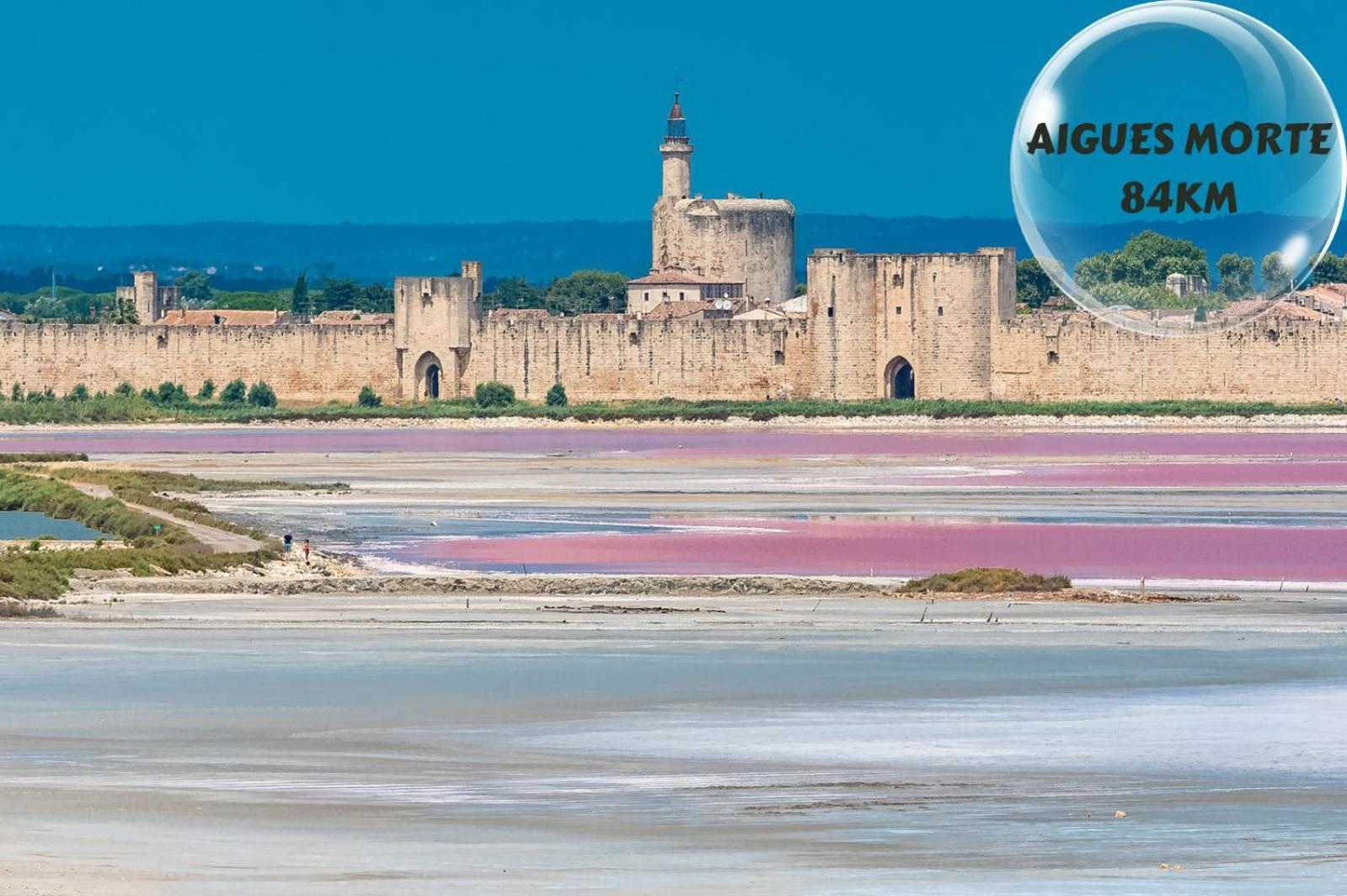 Apartamento Le Cosy Du Gal, A 2 Pas Du Palais Des Papes Parking Gratuit Securise Aviñón Exterior foto