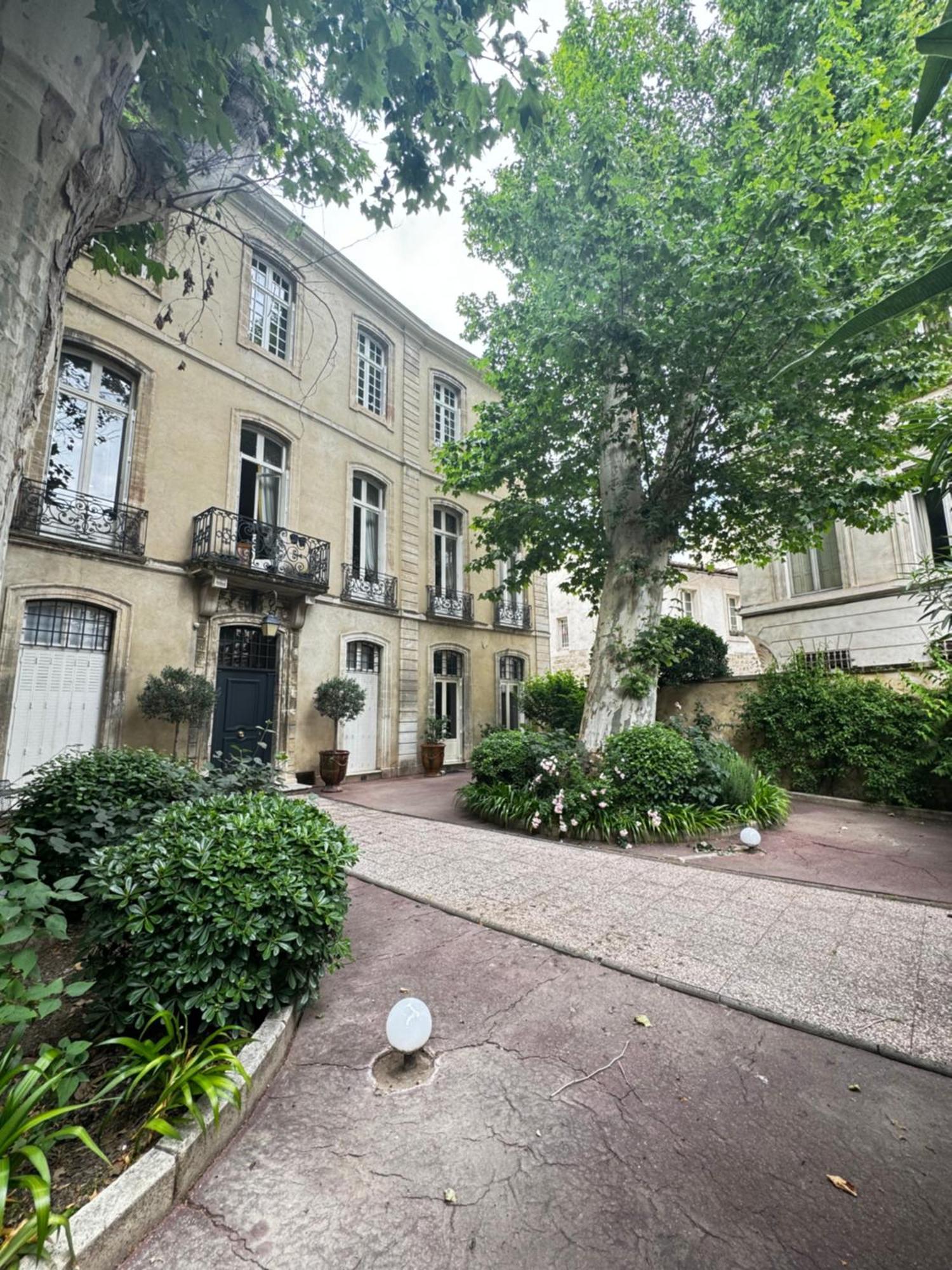 Apartamento Le Cosy Du Gal, A 2 Pas Du Palais Des Papes Parking Gratuit Securise Aviñón Exterior foto