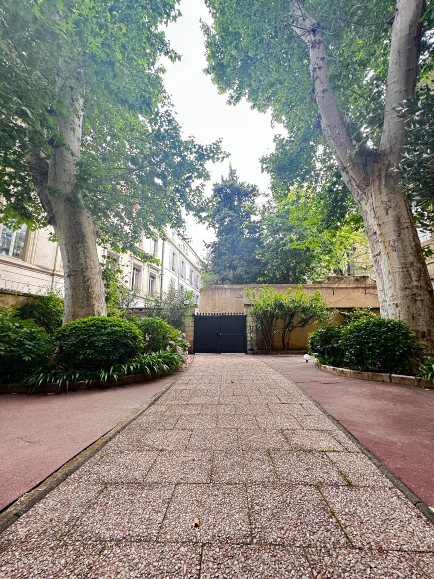Apartamento Le Cosy Du Gal, A 2 Pas Du Palais Des Papes Parking Gratuit Securise Aviñón Exterior foto