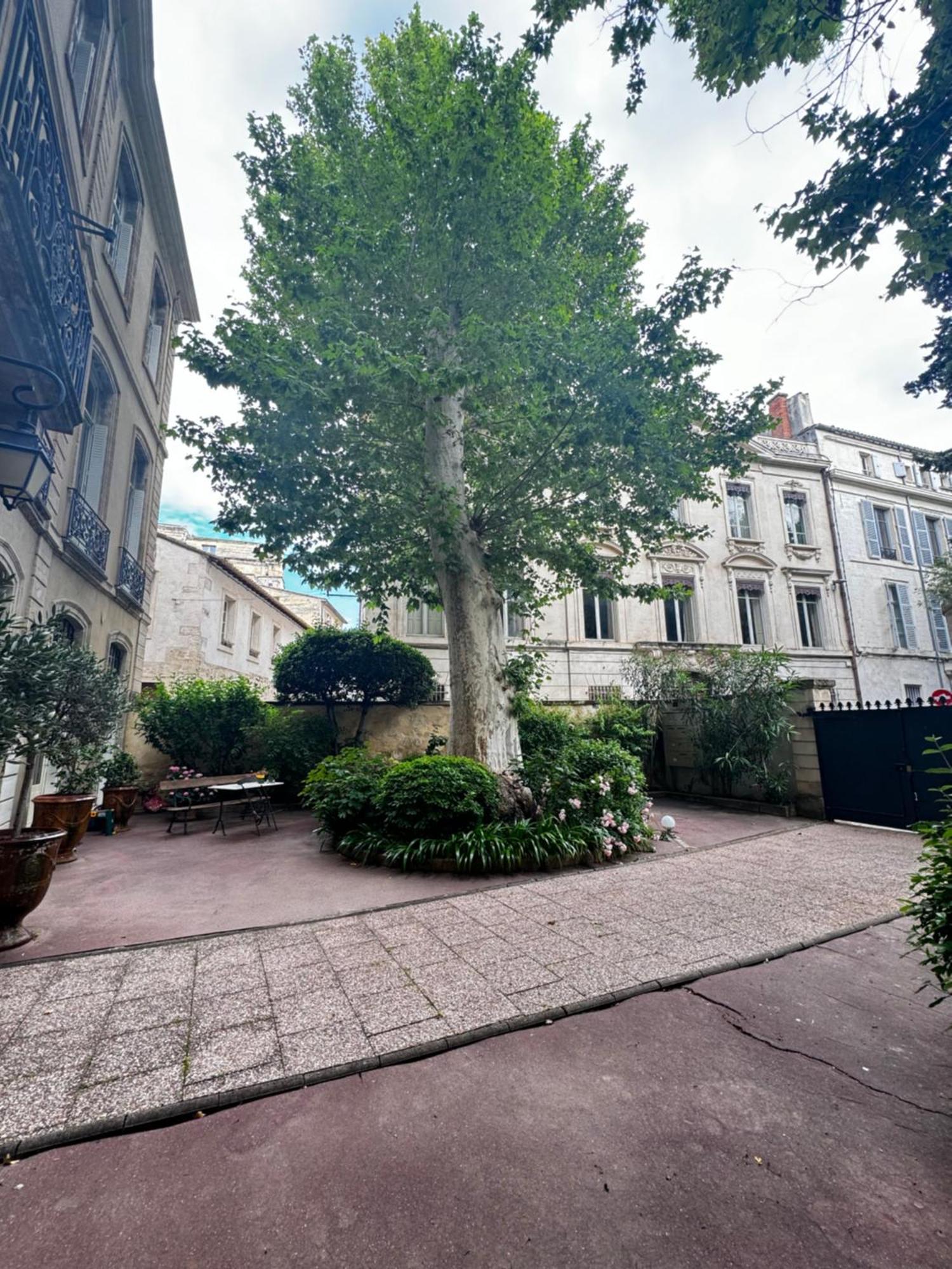 Apartamento Le Cosy Du Gal, A 2 Pas Du Palais Des Papes Parking Gratuit Securise Aviñón Exterior foto